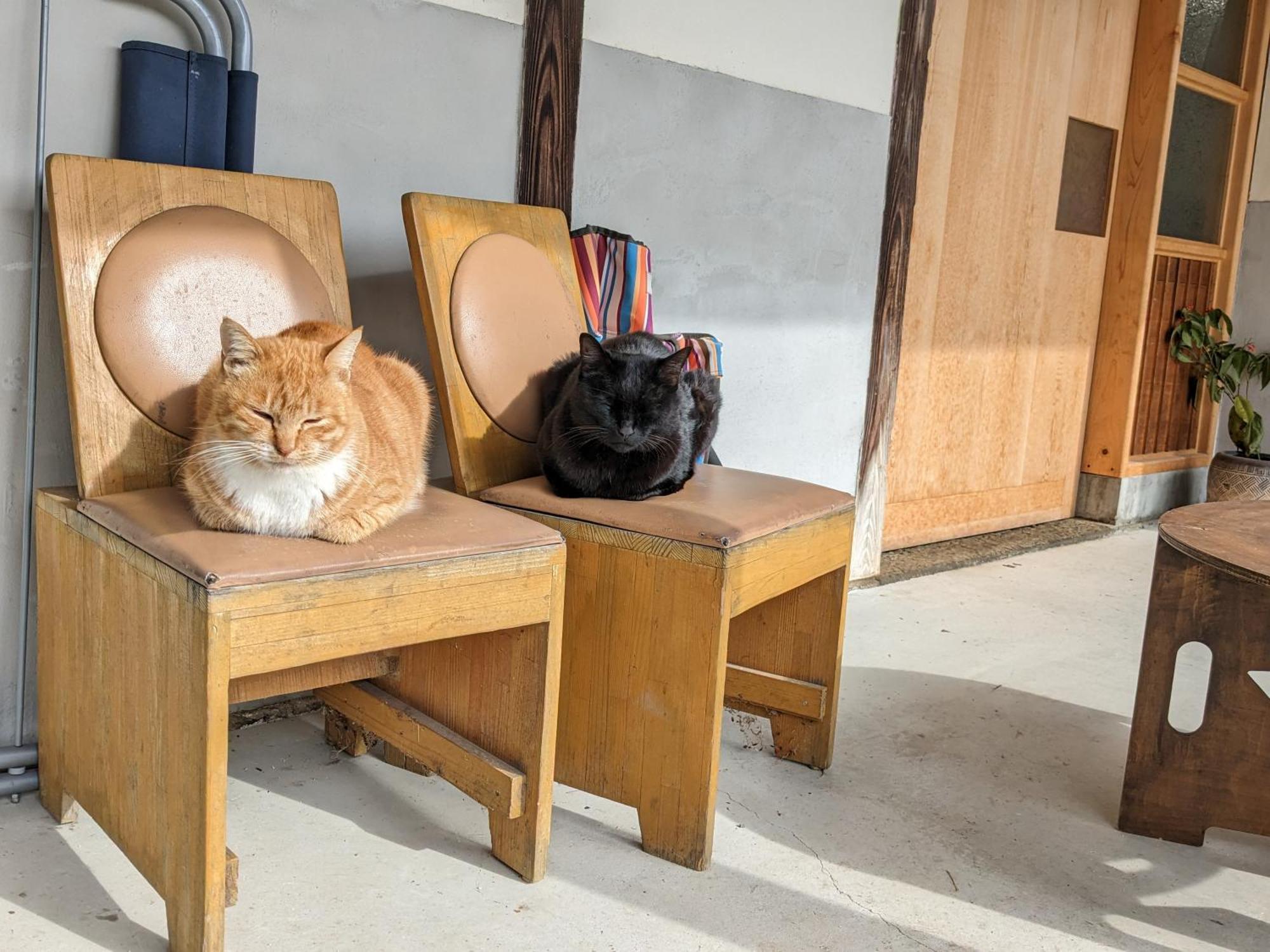 猫と図書館のある宿 草地家 Kusachike Minamiawaji ภายนอก รูปภาพ
