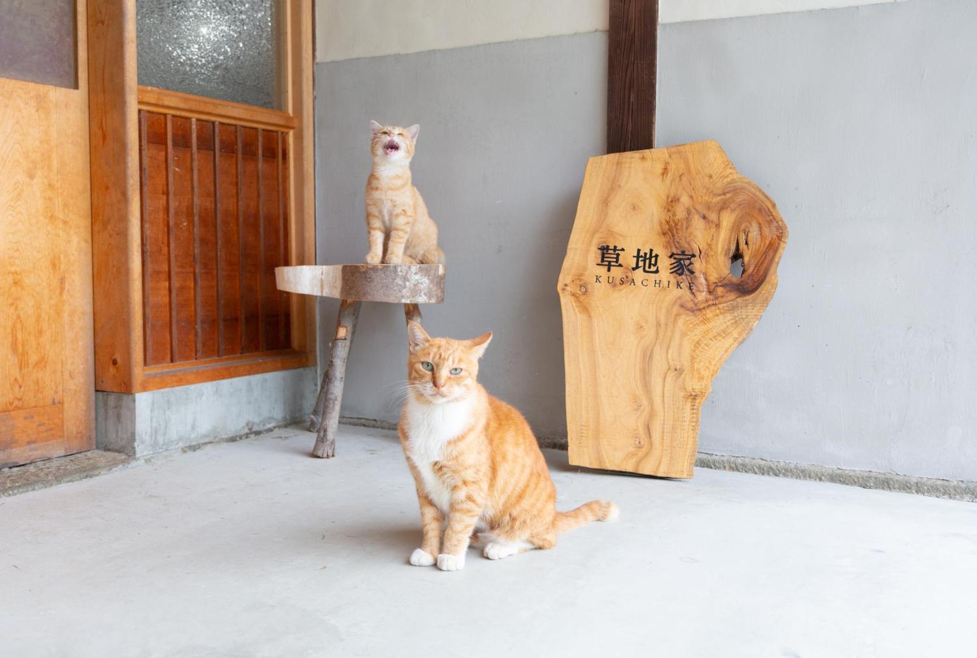 猫と図書館のある宿 草地家 Kusachike Minamiawaji ภายนอก รูปภาพ